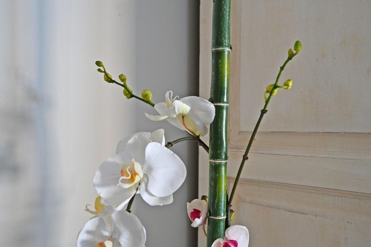 Au Coeur Des Papes, Dans Batisse De Charme Studios & Appartements En Coeur De Ville Avignon Luaran gambar